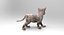 3D cute cat rigged