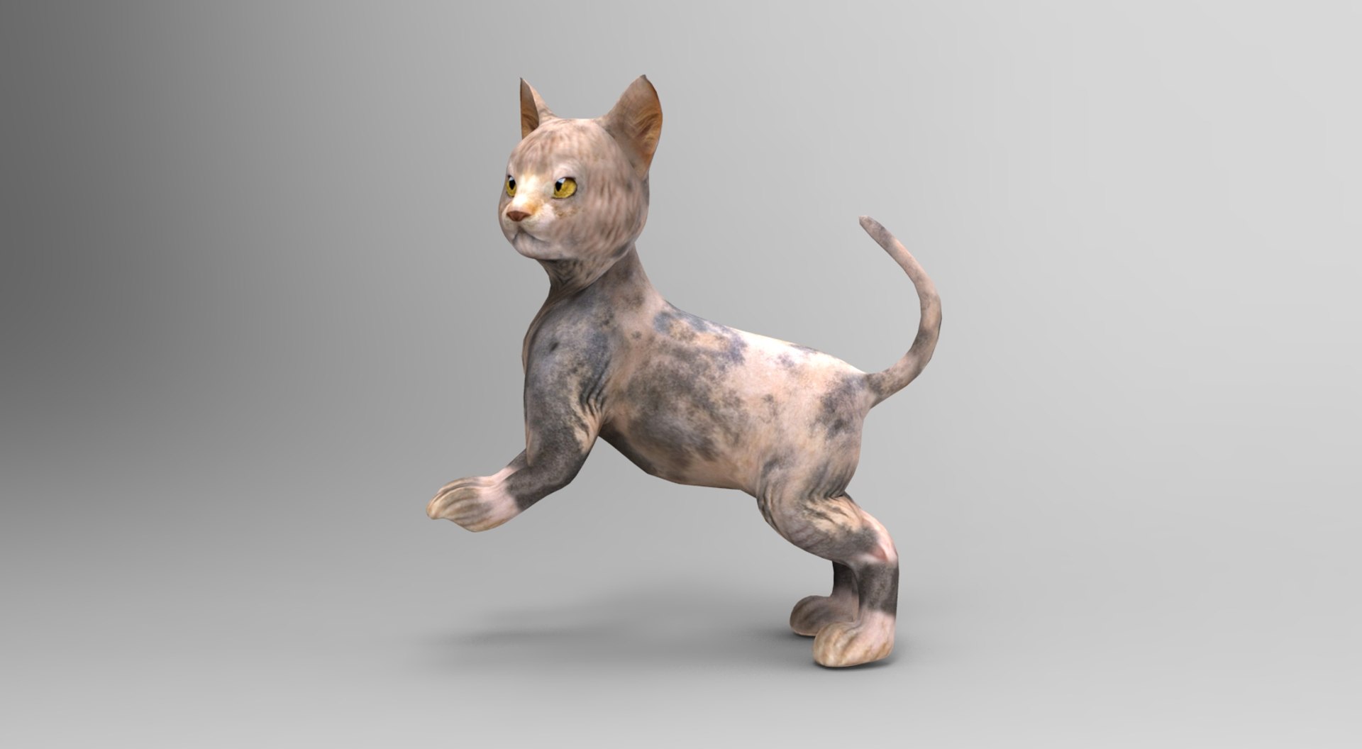 3D cute cat rigged https://p.turbosquid.com/ts-thumb/o6/VPuhYK/y3UaYsbg/catpose.796/jpg/1495650111/1920x1080/fit_q87/f2232473fe08946ce3aa913fa2deb0e5038ac89f/catpose.796.jpg