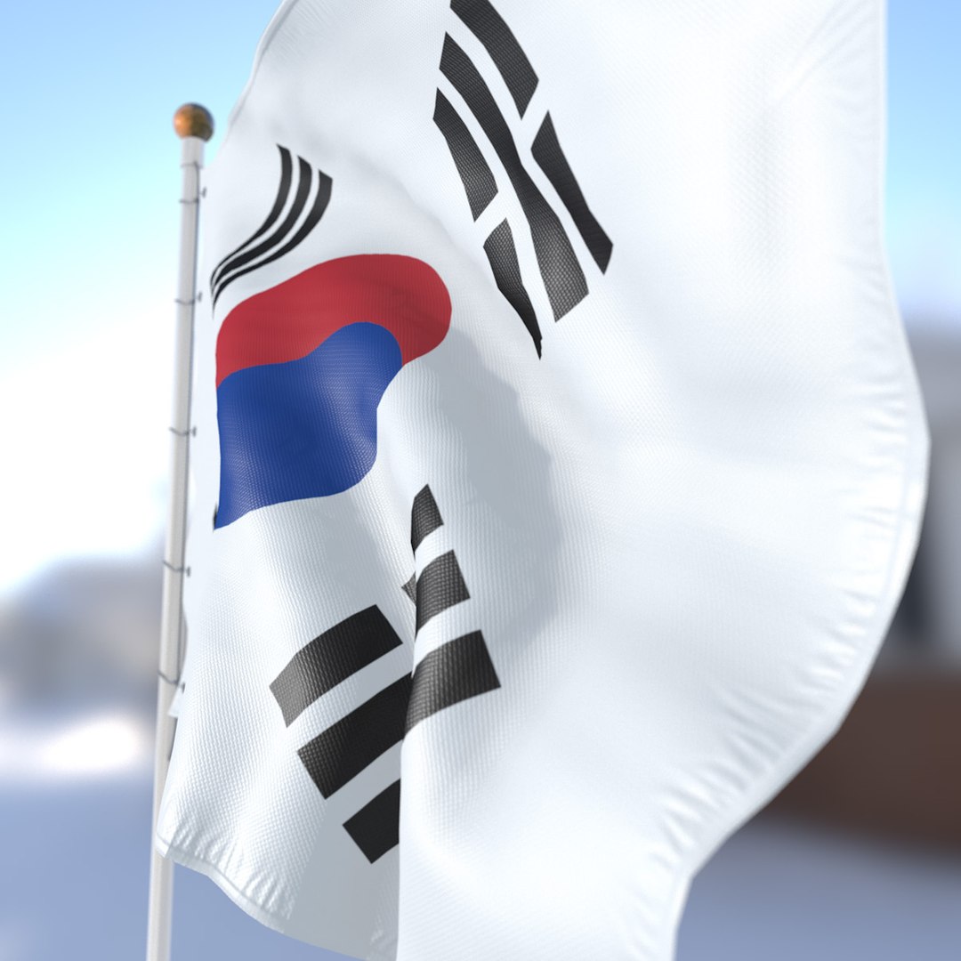 3D south flag https://p.turbosquid.com/ts-thumb/o6/fvIXJV/j8zw3mrE/flag05sk/jpg/1516715823/1920x1080/fit_q87/54d6934bf7956a05b6ff5f07f7bf3d92c70b6c24/flag05sk.jpg