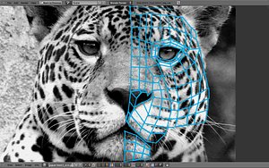 panther cat feline blend free