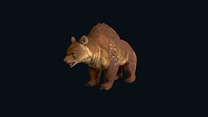 3D 3D Realistic BrownBear model