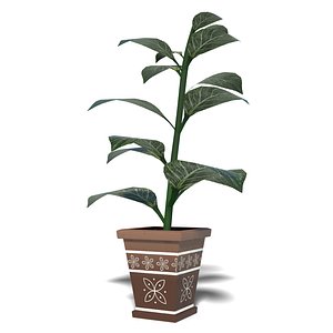 Rubber Decorative Plant model