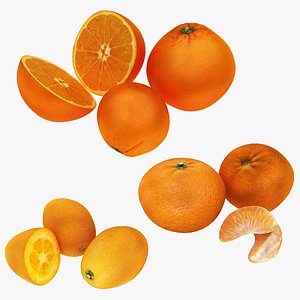 3D Orange Mandarin and Kumquat Collection