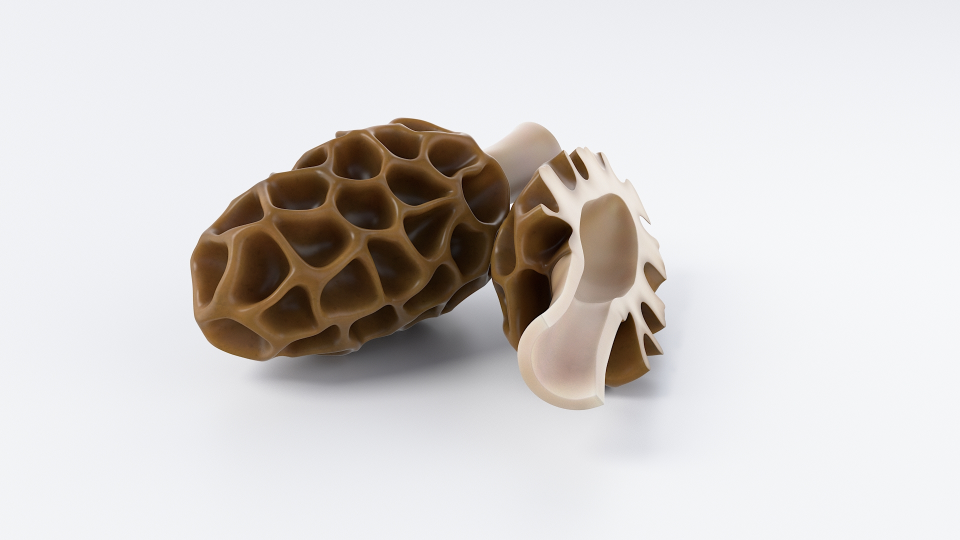 Cartoon Morel Mushroom 3D model https://p.turbosquid.com/ts-thumb/o7/GTzEJk/GH/spugnoletba/jpg/1686290836/1920x1080/turn_fit_q99/977a8d236143dafda54c658c425b2ec18e042c15/spugnoletba-1.jpg
