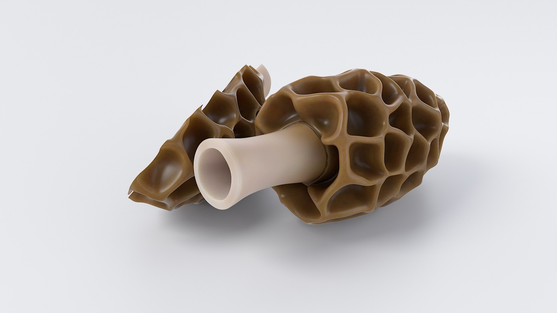 Cartoon Morel Mushroom 3D model https://p.turbosquid.com/ts-thumb/o7/GTzEJk/Ql/spugnole_05/jpg/1686290793/1920x1080/fit_q87/4961ab5cf6535dbf182c724c5799ad18c5180416/spugnole_05.jpg