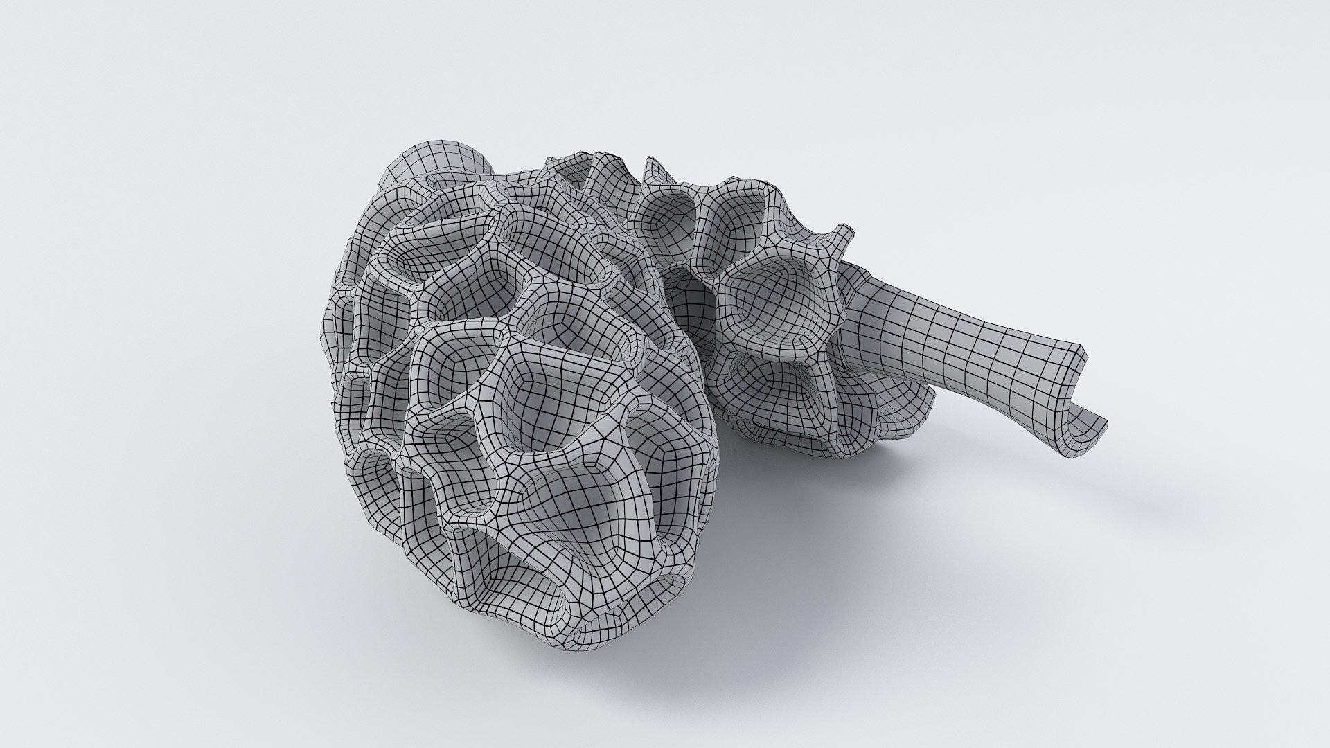 Cartoon Morel Mushroom 3D model https://p.turbosquid.com/ts-thumb/o7/GTzEJk/aW/spugnole_09/jpg/1686290795/1920x1080/fit_q87/9400aa15632be4c930f8bee8d26dd1085e9143de/spugnole_09.jpg