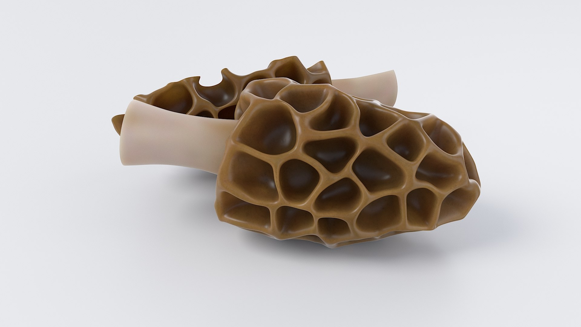 Cartoon Morel Mushroom 3D model https://p.turbosquid.com/ts-thumb/o7/GTzEJk/lZ/spugnole_04/jpg/1686290792/1920x1080/fit_q87/96e5cf380938f7353bede3738a459eb0a798e8ba/spugnole_04.jpg
