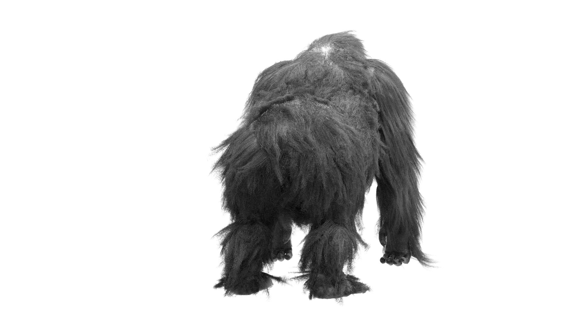 orangutan 3d model https://p.turbosquid.com/ts-thumb/o7/PYp1r4/2A5Wp7oe/bw5/jpg/1477254916/1920x1080/fit_q87/eb4af407554cbc894069eaa0ee9259593340dd91/bw5.jpg