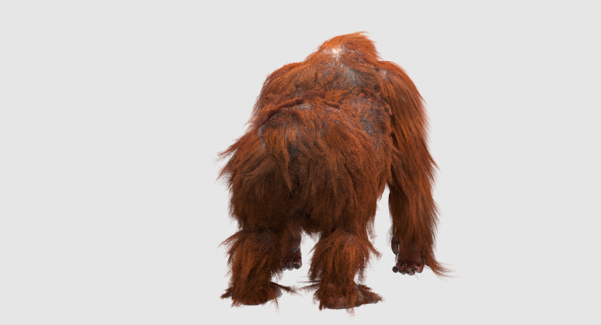 orangutan 3d model https://p.turbosquid.com/ts-thumb/o7/PYp1r4/OJmfNphh/5/jpg/1477253222/1920x1080/fit_q87/edbfdcaa8dffec243ae4e6362c18a85d38467544/5.jpg