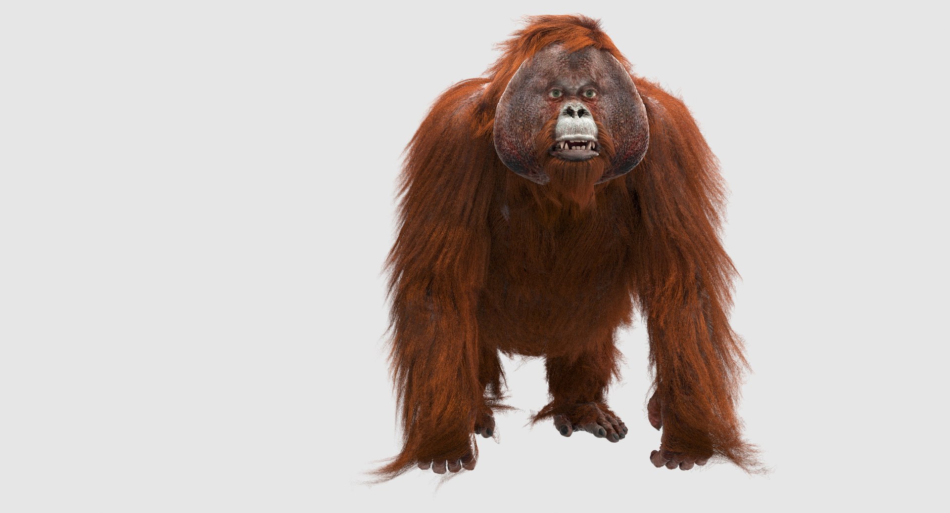 orangutan 3d model https://p.turbosquid.com/ts-thumb/o7/PYp1r4/S8jgO76m/10/jpg/1477254689/1920x1080/fit_q87/0d30628648b5ad4e129c6f44eb1ffc3b46eb23e9/10.jpg