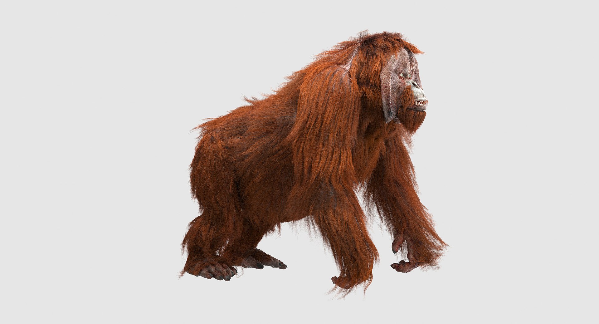 orangutan 3d model https://p.turbosquid.com/ts-thumb/o7/PYp1r4/UngRzXrm/2/jpg/1477249459/1920x1080/fit_q87/49324df5763ff4d4312d231ac884193aef2990c5/2.jpg