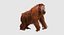 Orangutan with Fur