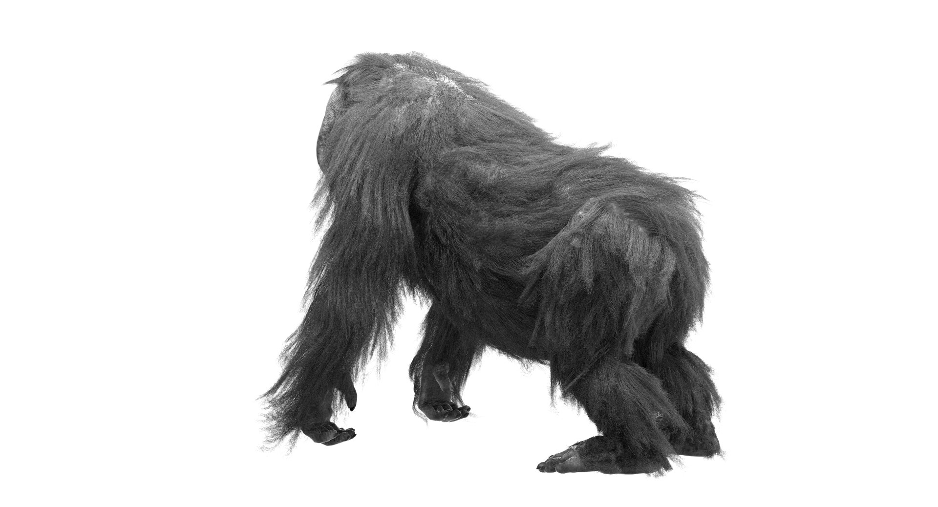orangutan 3d model https://p.turbosquid.com/ts-thumb/o7/PYp1r4/lrTPkjI7/bw6/jpg/1477254916/1920x1080/fit_q87/2bf7383a68359f9f167ac0d2ca4bebeb5165b59a/bw6.jpg