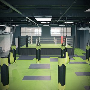 3D boxing gym