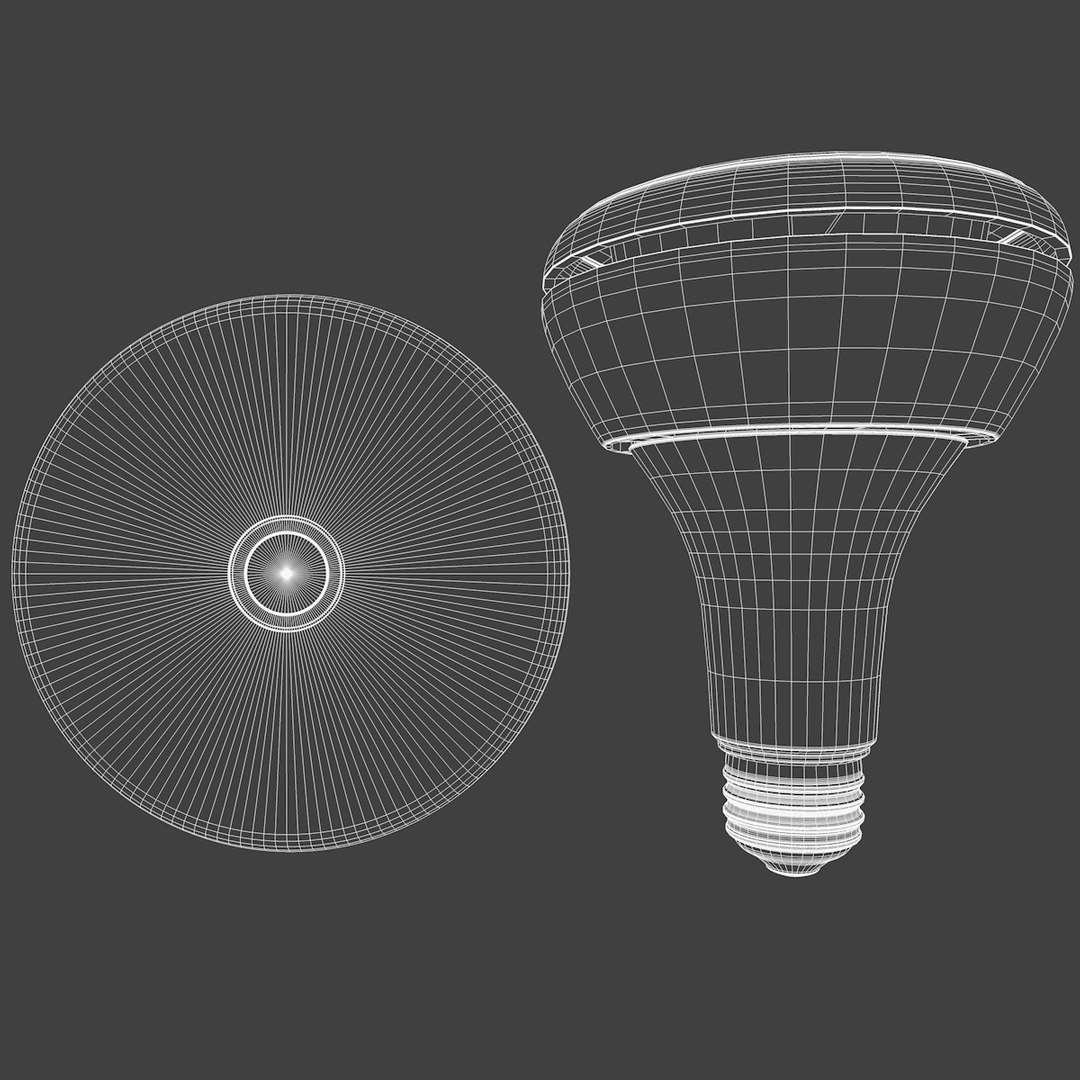 3d Model Philips Hue Br30   Signature.wire 