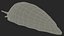 Garden Slug Rigged for Maya