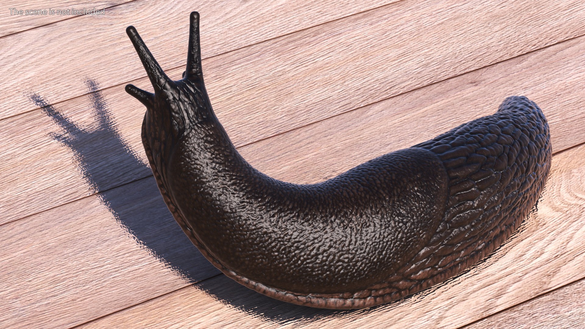 3D Garden Slug Rigged for Maya https://p.turbosquid.com/ts-thumb/o7/fJeLbR/Zh/gardenslugriggedformaya3dmodel013/jpg/1674604693/1920x1080/fit_q87/18776aad5e9384431fe955c32dba8d1cfe669faa/gardenslugriggedformaya3dmodel013.jpg
