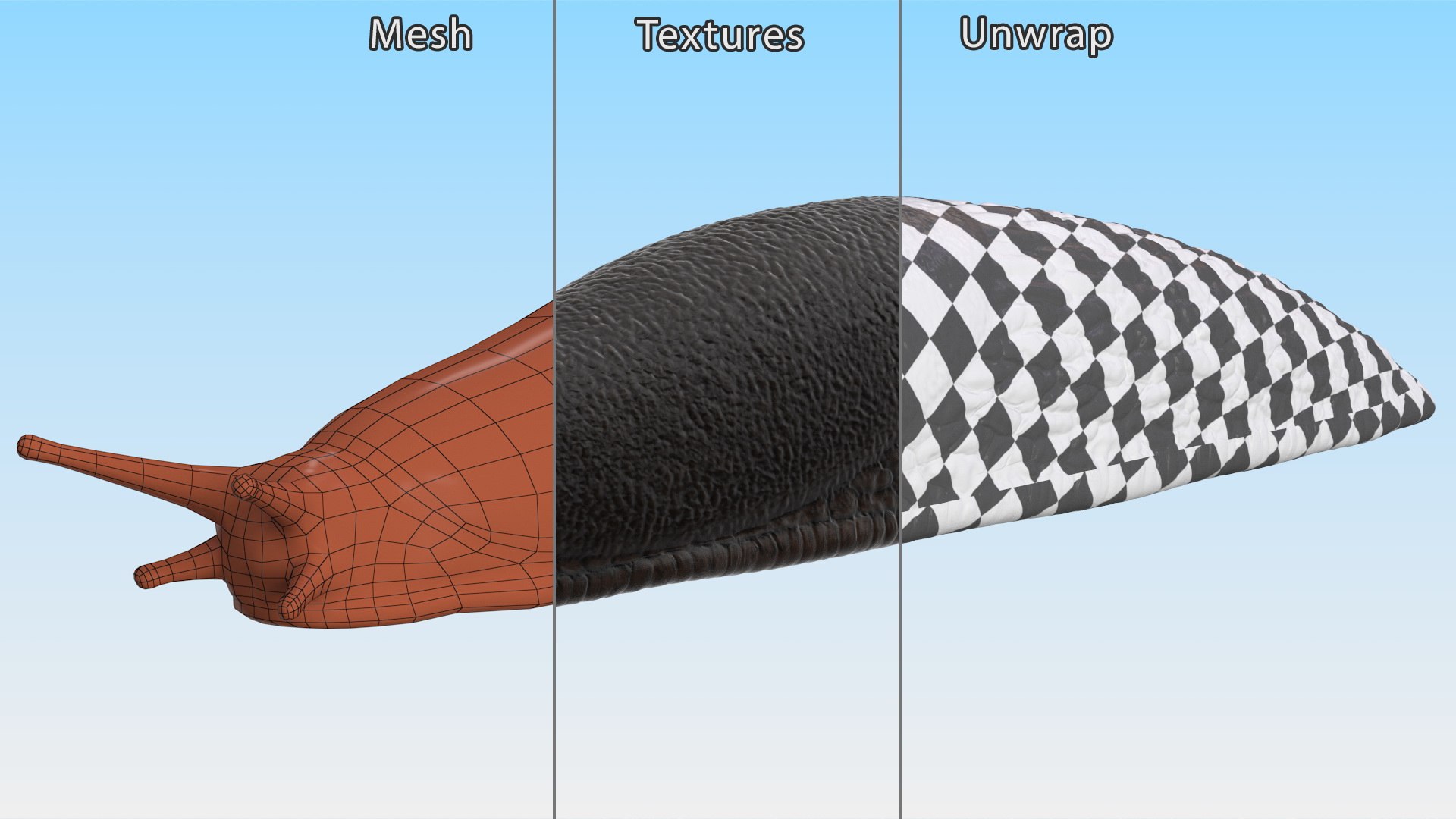 3D Garden Slug Rigged for Maya https://p.turbosquid.com/ts-thumb/o7/fJeLbR/cv/gardenslugriggedformaya3dmodel029/jpg/1674604743/1920x1080/fit_q87/1c7c4be00c102df8068e91326874c68645d671d3/gardenslugriggedformaya3dmodel029.jpg