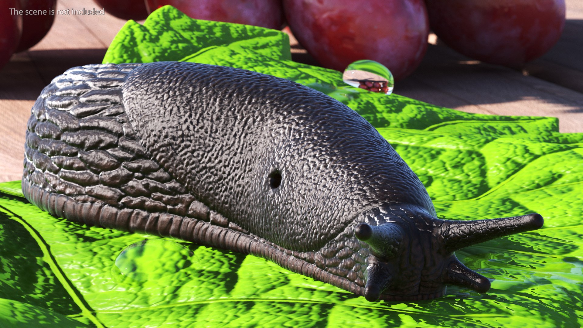 3D Garden Slug Rigged for Maya https://p.turbosquid.com/ts-thumb/o7/fJeLbR/da/gardenslugriggedformaya3dmodel007/jpg/1674604675/1920x1080/fit_q87/9379ed866ab57a79589a7d9f218dc709659f2bf9/gardenslugriggedformaya3dmodel007.jpg