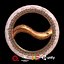 Chakram D180205