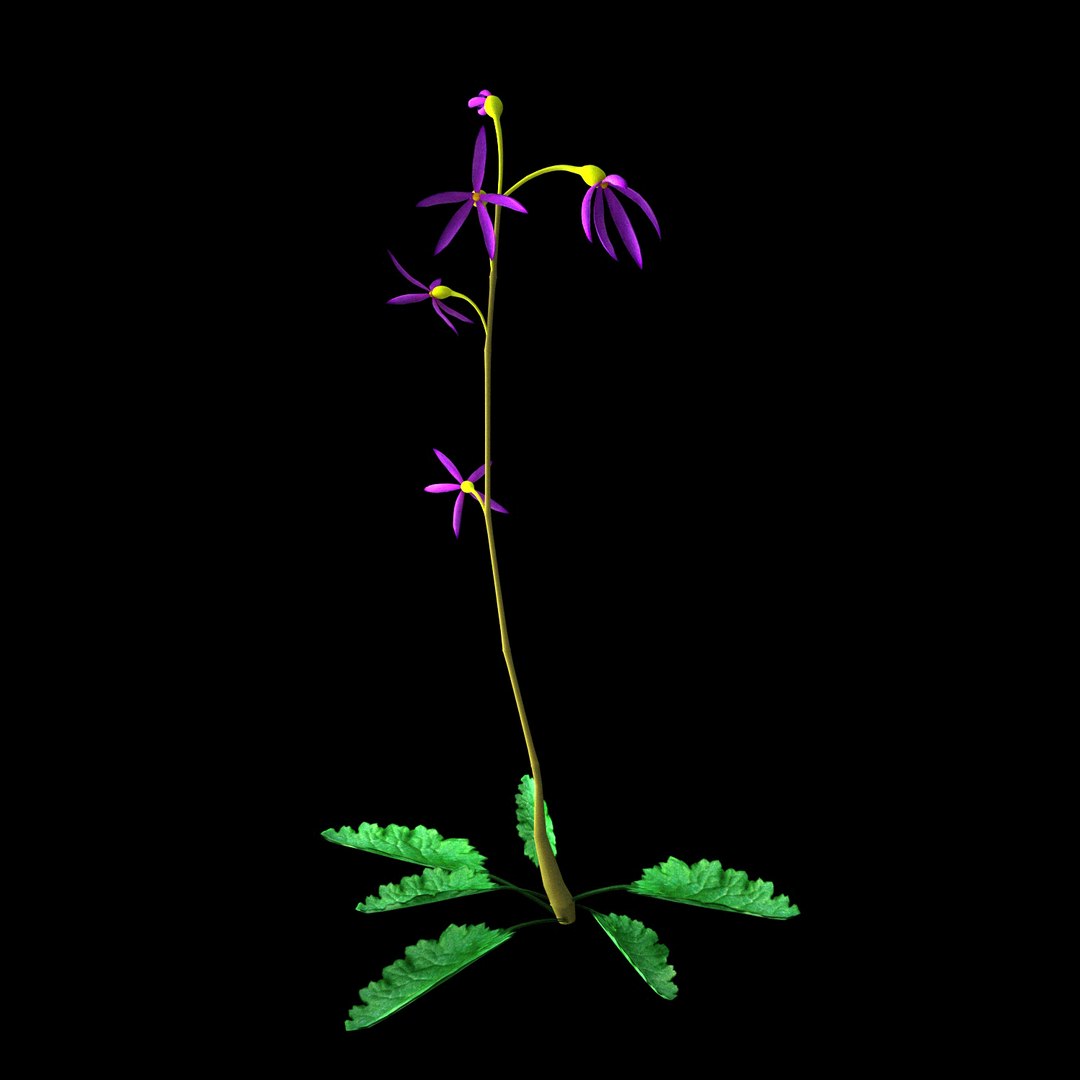 Flowers Open Animation Model - TurboSquid 1563319