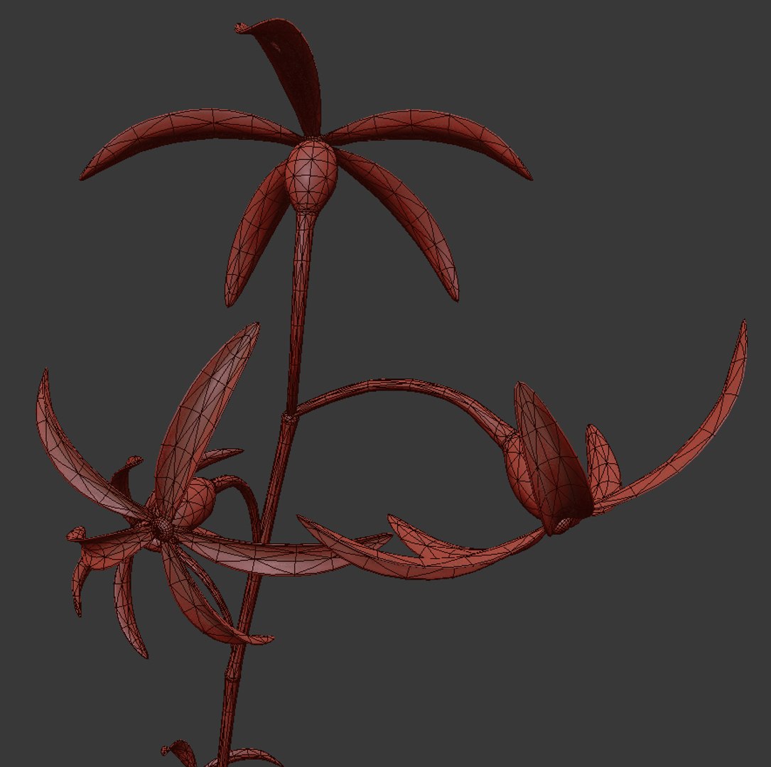 Flowers Open Animation Model - TurboSquid 1563319