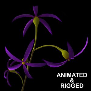 flowers open animation model