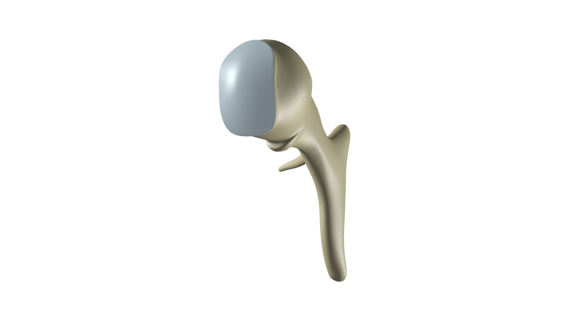 Middle Ear Auditory Ossicles 3D Model - TurboSquid 2022543