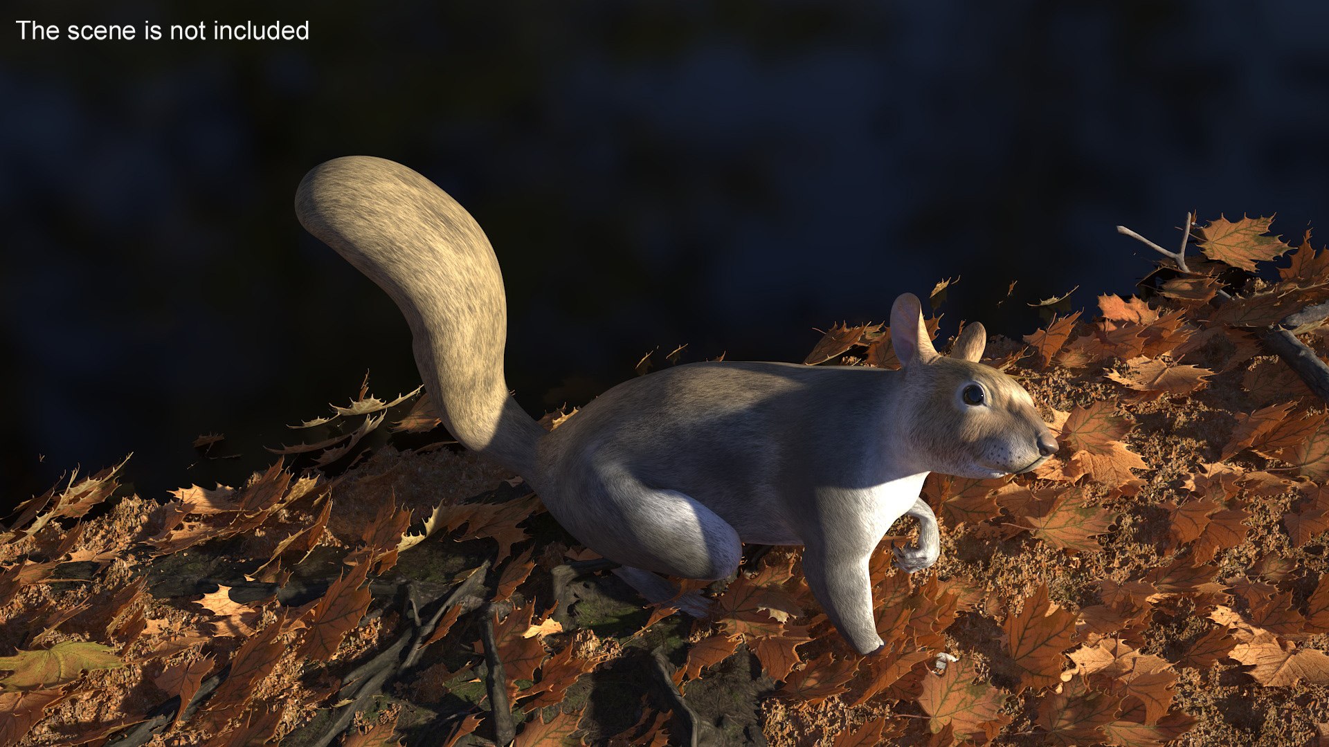 Gray Squirrel Rigged Model - TurboSquid 2264270