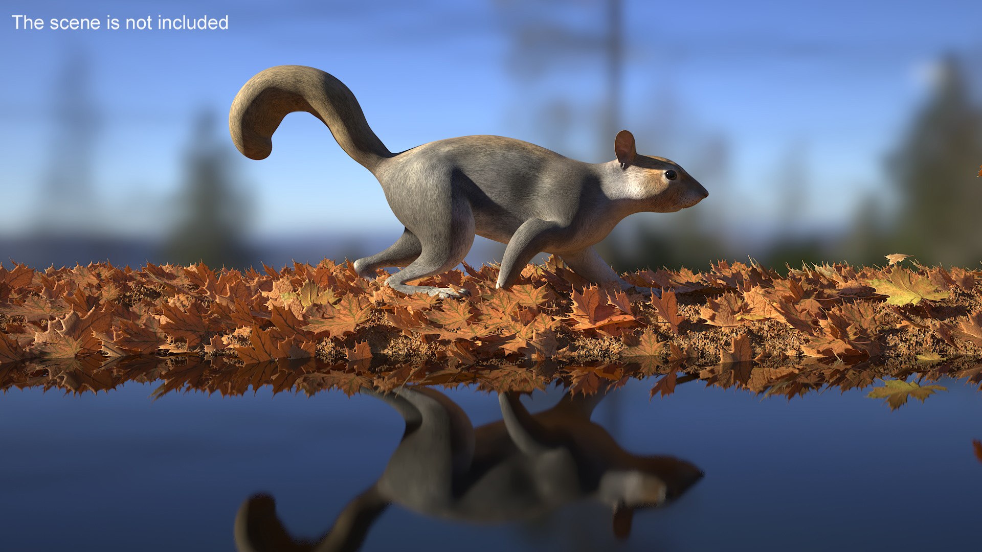Gray Squirrel Rigged Model - TurboSquid 2264270
