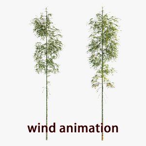 bamboo Wind animation 3D