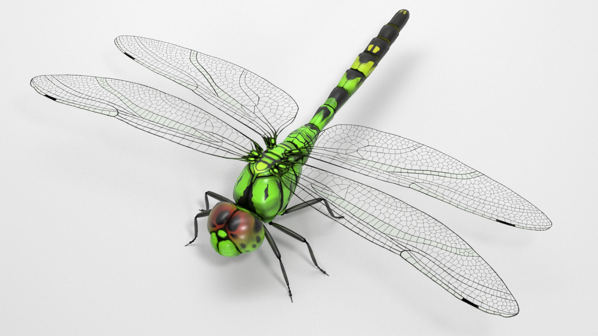Libelle 3DModell TurboSquid 1965915