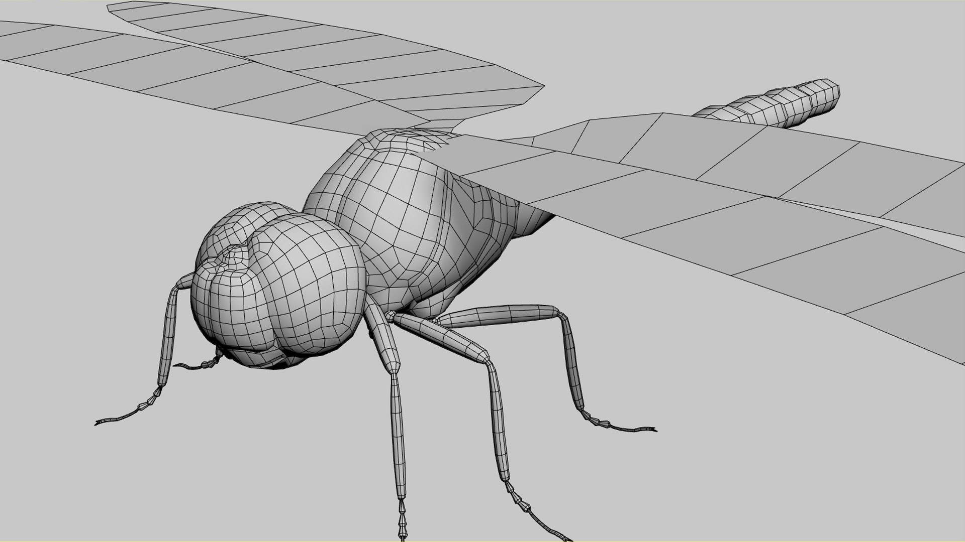Dragonfly 3D Model - TurboSquid 1965915