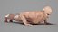Realistic Muscular Man Rigged Character