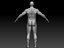 Realistic Muscular Man Rigged Character