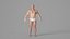 Realistic Muscular Man Rigged Character