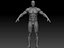 Realistic Muscular Man Rigged Character