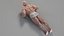 Realistic Muscular Man Rigged Character