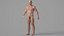 Realistic Muscular Man Rigged Character