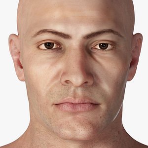 3D photorealistic rigged male character model