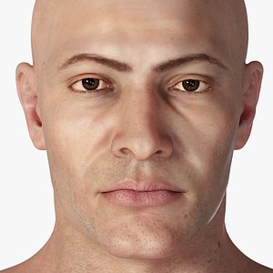 Realistic Muscular Man Rigged Character