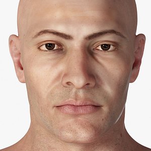 Realistic Muscular Man Rigged Character