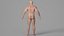 Realistic Muscular Man Rigged Character