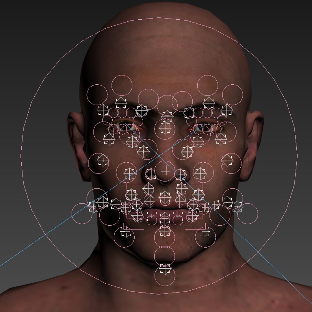 3D photorealistic rigged male character model https://p.turbosquid.com/ts-thumb/o8/AboOD6/vYwC4gIF/29/jpg/1567026310/1920x1080/fit_q87/132ffc26dac71ff225f2a9b2ee904b3cc874203e/29.jpg
