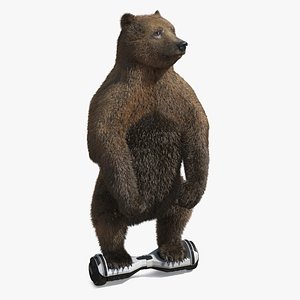 Brown Bear Balancing on Gyroscooter Fur