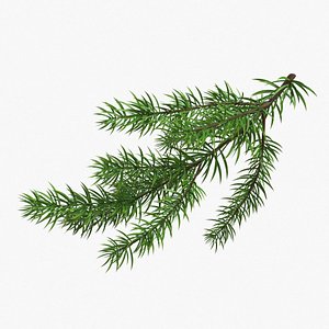 christmas fir branches 3D model