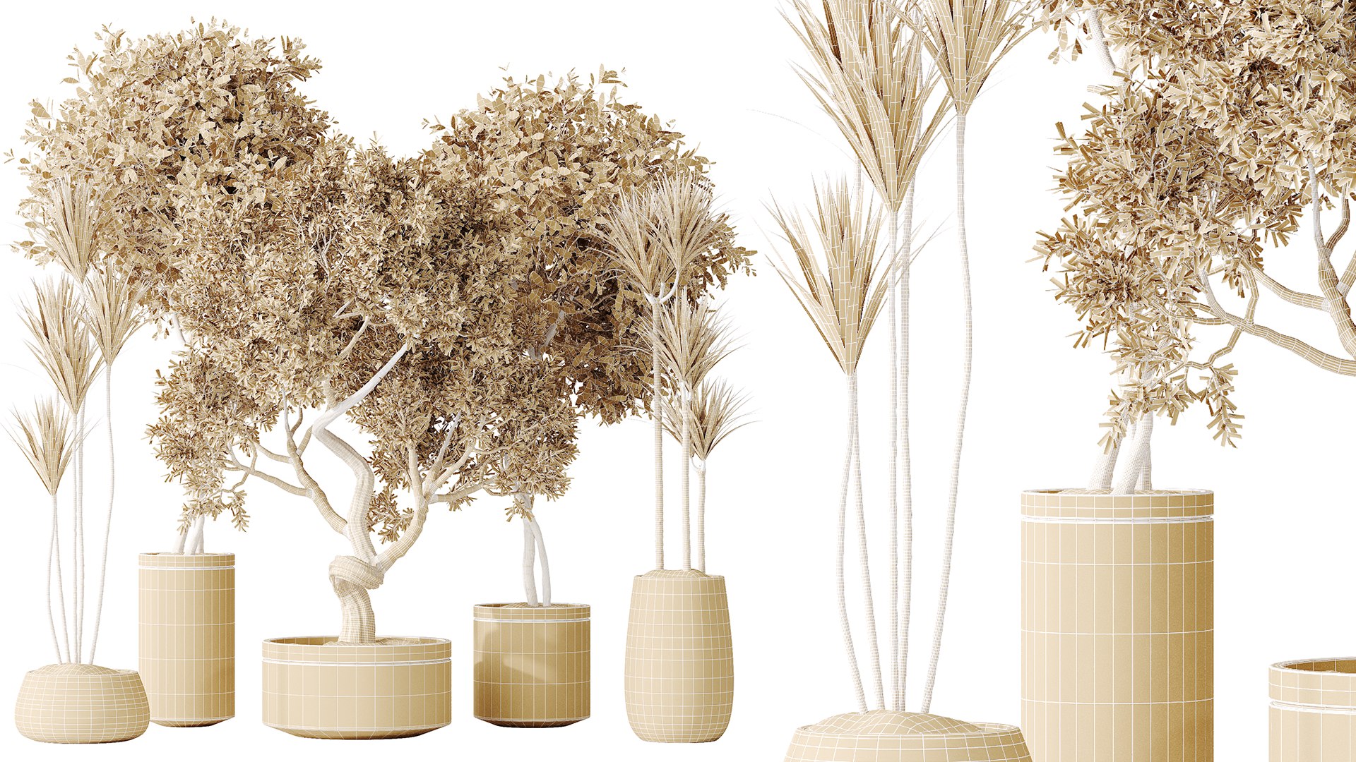 AV Indoor plants set 160 Artificial Olivo Olea Tree and Yucca Elephantipes Gigantea and Ficus Retusa 3D model https://p.turbosquid.com/ts-thumb/o8/abWxXT/Bs/07/png/1736071844/1920x1080/fit_q87/4c2762af85d7f9149b80776034fdc83c933d2617/07.jpg
