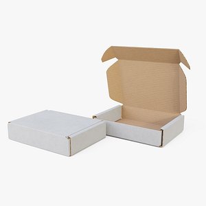 Corrugated Box V3