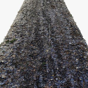 3D Forest road material N11 8 meters