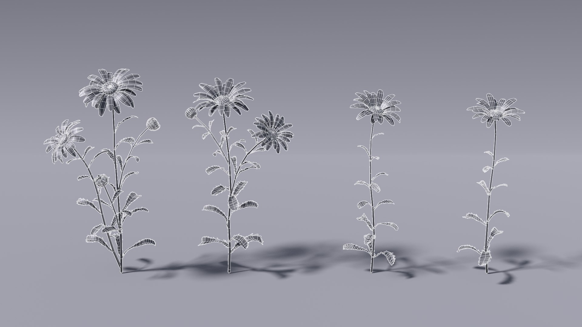 realistic daisies flowering 3D https://p.turbosquid.com/ts-thumb/o8/nlq5d4/0sLWIOfY/3dflowercollectionvol06daisy_10/png/1591600325/1920x1080/fit_q87/c873f0ac04e76712ff5901c56b85e3e8f808d4d2/3dflowercollectionvol06daisy_10.jpg